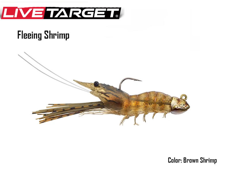 Live Target Fleeing Shrimp (Size: 70mm, Weight: 11gr, Color: Brown