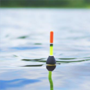 Float Fishing Rods