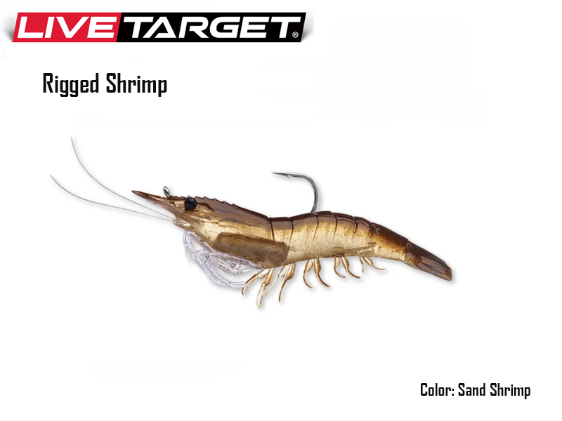 Live Target Rigged Shrimp (Size: 75mm, Weight: 7gr, Color: Sand Shrimp, Pack: 4pcs)