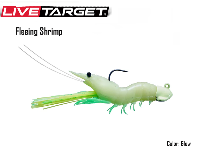 Live Target Fleeing Shrimp : , Fishing Tackle Shop