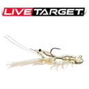 Live Target Fleeing Shrimp