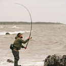 Shore Lure Fishing Rods