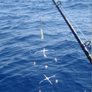 Bottom- Bait Fishing Rods