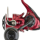 Daiwa BG RR LT ARK