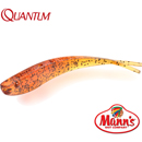 Quantum Q-Fish 13