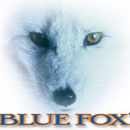 Special Offer Blue Fox Lures