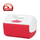 Igloo Coolboxes Personal Size