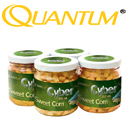Quantum Sweet Corn